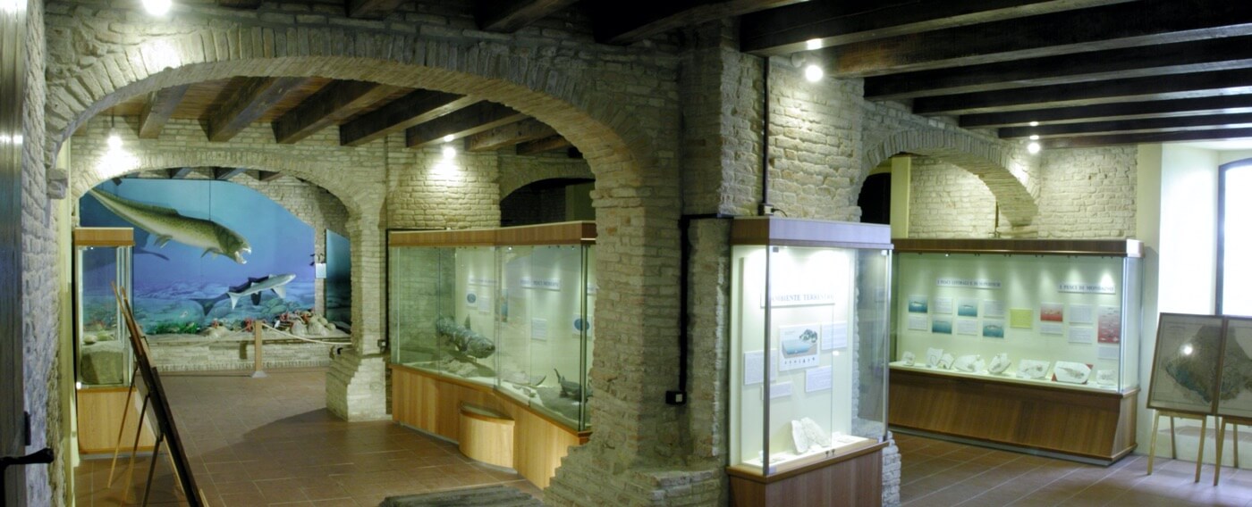 Museo Paleontologico Mondaino